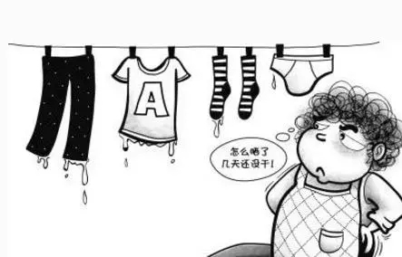 640.webp (4)